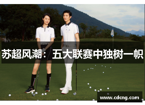 苏超风潮:五大联赛中独树一帜
